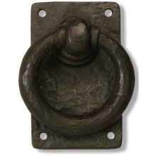 Coastal Bronze<br />60-110 - Ring Turn on Plate