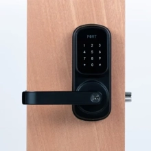 Linnea <br />P-LVL-TRI-SC6 - Triton Lever Smart Lock